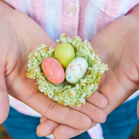 Spring Coconut Bird’s Nests