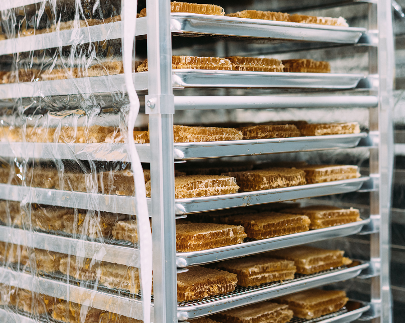 Square pieces of honeycomb on a metal rack, wrapped for preservation or transportation.