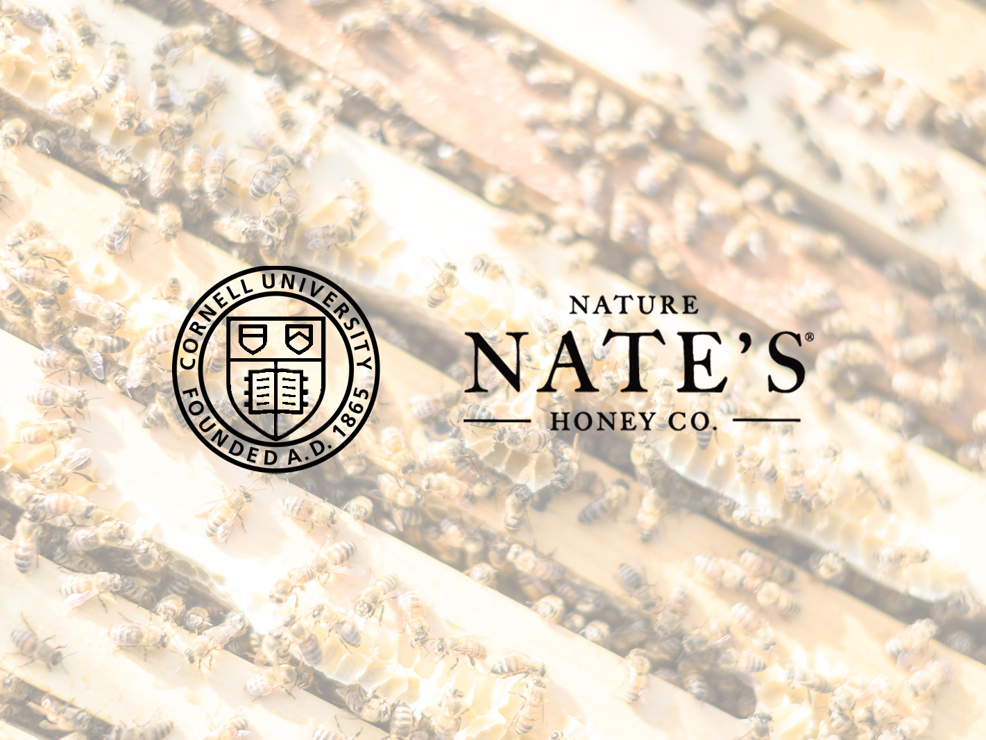 Cornell University and Nate's logos centered on background of honey bees in hive body.