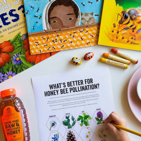 Free-Bee Honey Bee Health Lesson Plan for Educators