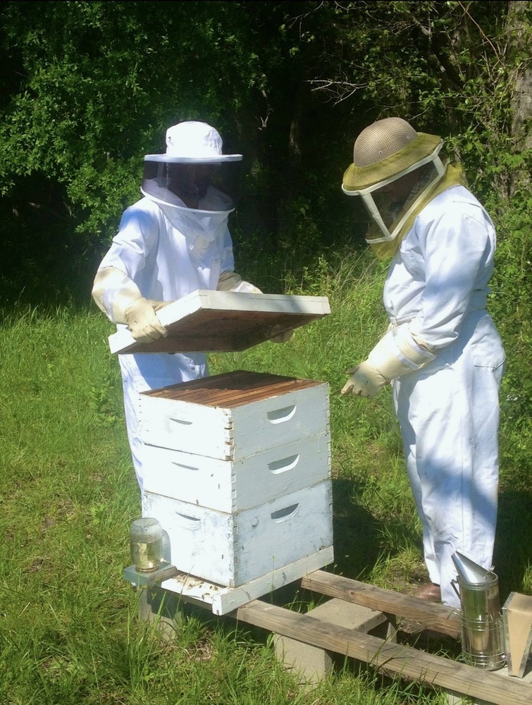 Two beekeepers working on a beehive in a green field.