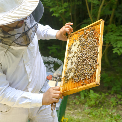 Why It’s So Important to Know Where Your Honey Comes From