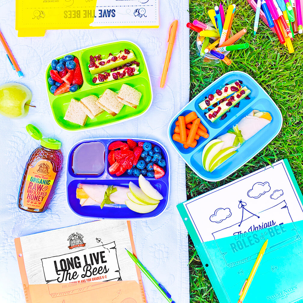 Children’s picnic with healthy snacks, coloring pages, crayons, and bottle of Nate’s organic honey on grass.