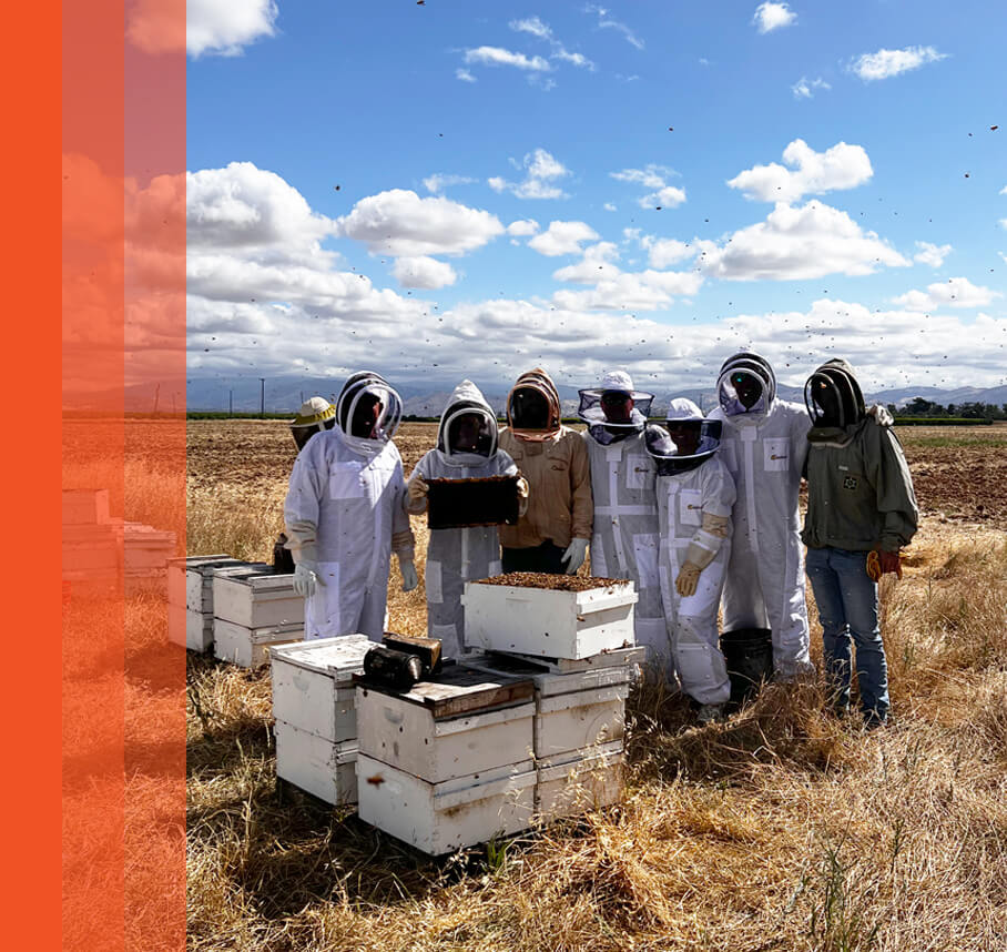 Nature Nate’s team wearing bee suits while caring for a honeybee hive.
