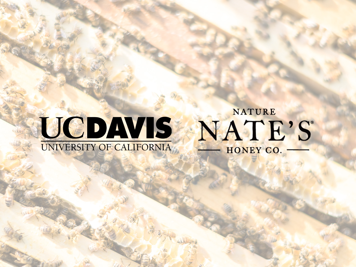 University of California Davis and Nate's logos centered on background of honey bees in hive body.